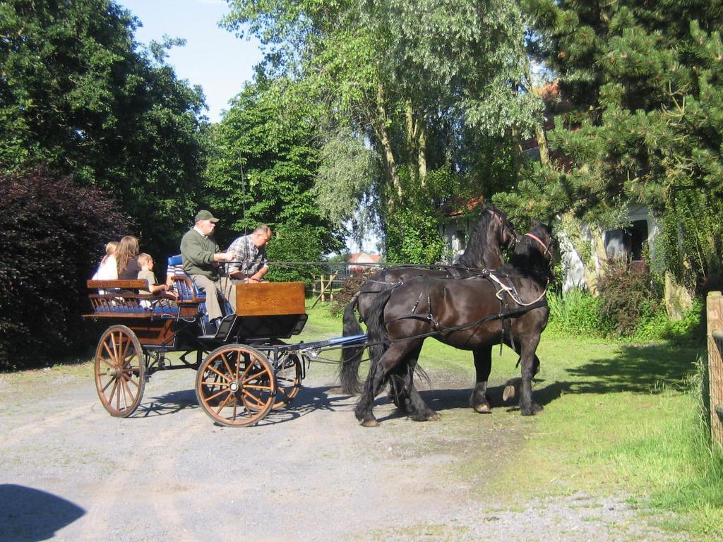 B&B Ter Castaigne Koekelare Экстерьер фото